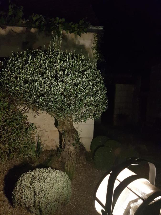 Le Clos Falaw Azay-sur-Cher Kültér fotó